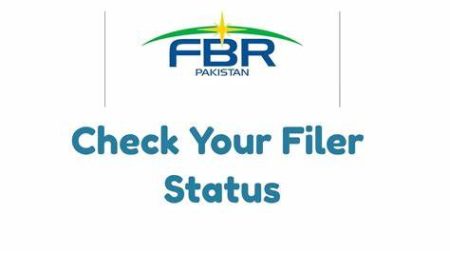 How to Check Filer Status